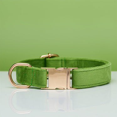 collar-apple-green