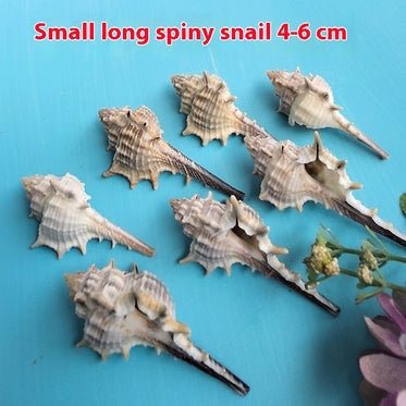 4to6cm