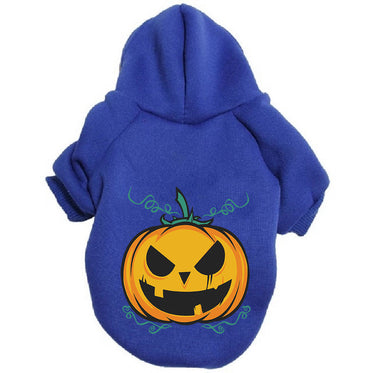 pumpkin-blue