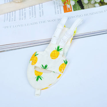 pineapple-xs