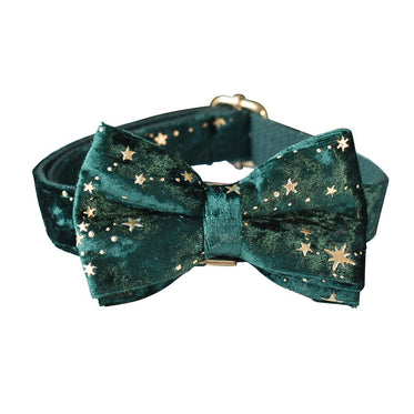 bow-dog-collar