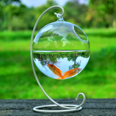 glass-ball23-white-bracket