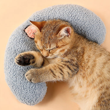pet-pillow-blue