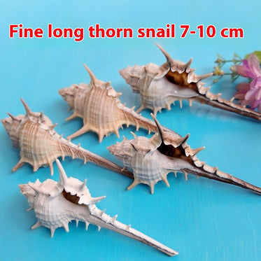 7to10cm