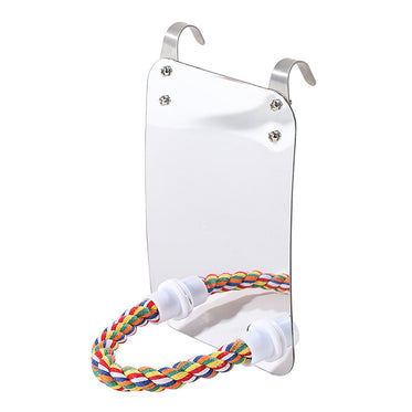 standing-pole-mirror