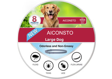 boxed-big-dog-70cm