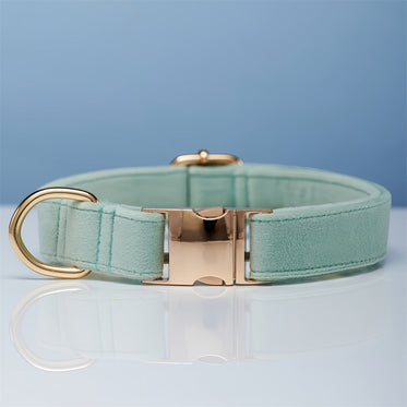 collar-light-water-green