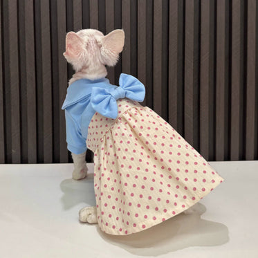hairless-cat