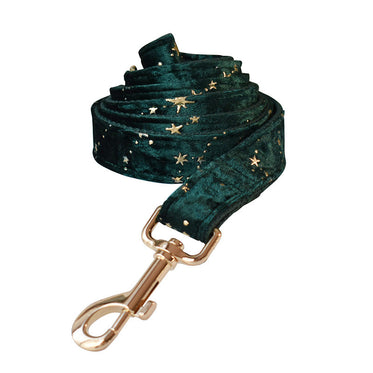 dog-leash