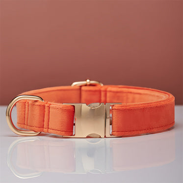 collar-coral-orange