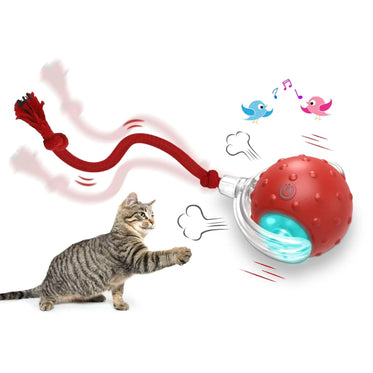 the-birds-call-is-red